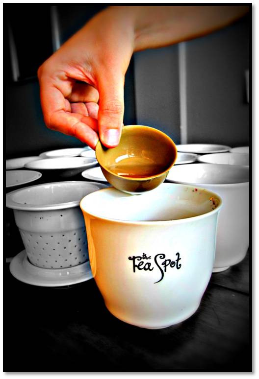 Newbie Tea Tasting The Tea Spot Blog