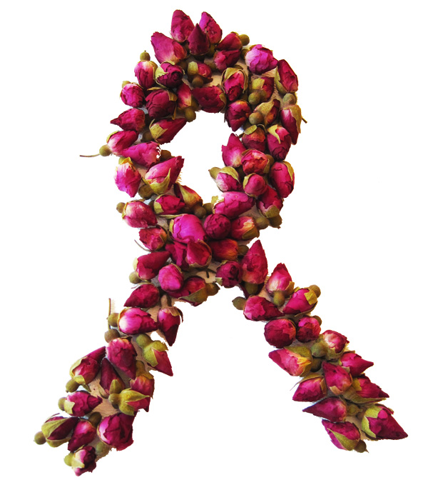 Pink Ribbon of Roses By The Tea Spot